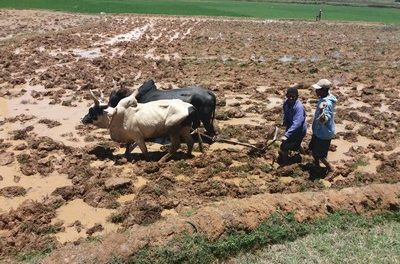 Témoignage sur Madagascar