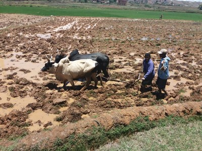 Témoignage sur Madagascar