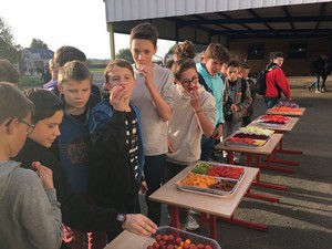 Dégustation de légumes au Collège Saint Martin